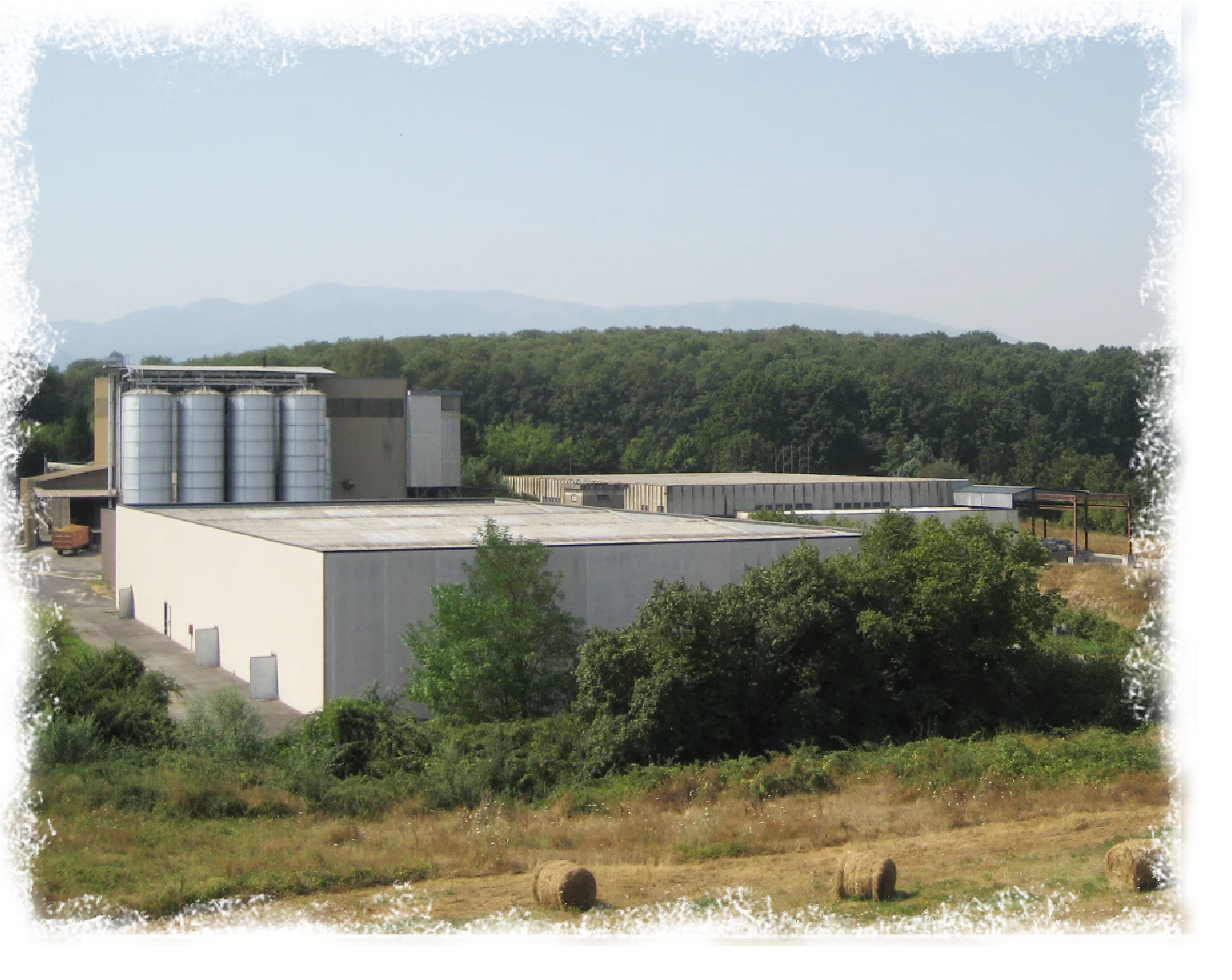 Stabilimento HorseNutrition