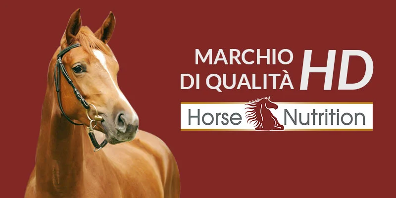 Cos'è HD, il marchio di qualità di HorseNutrition
